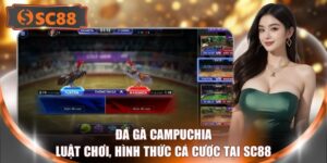 Đá Gà Campuchia - Luật Chơi, Hình Thức Cá Cược Tại SC88